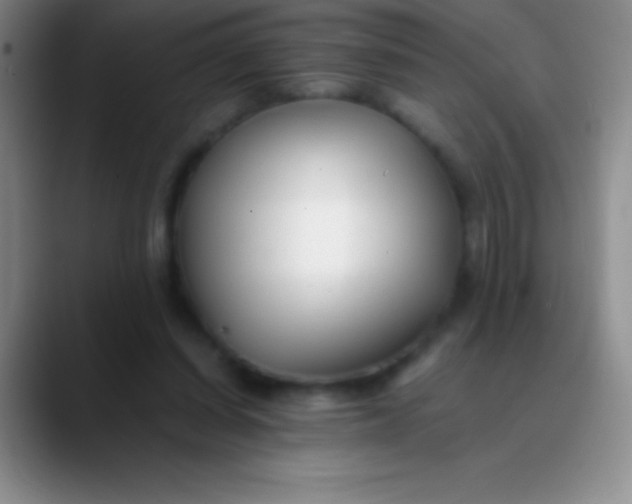 X0000089890254200707192019