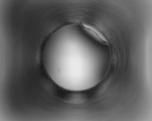 X0000089890255200707192019