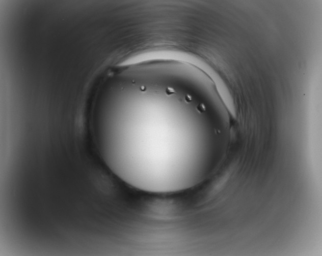 X0000089890256200707192019