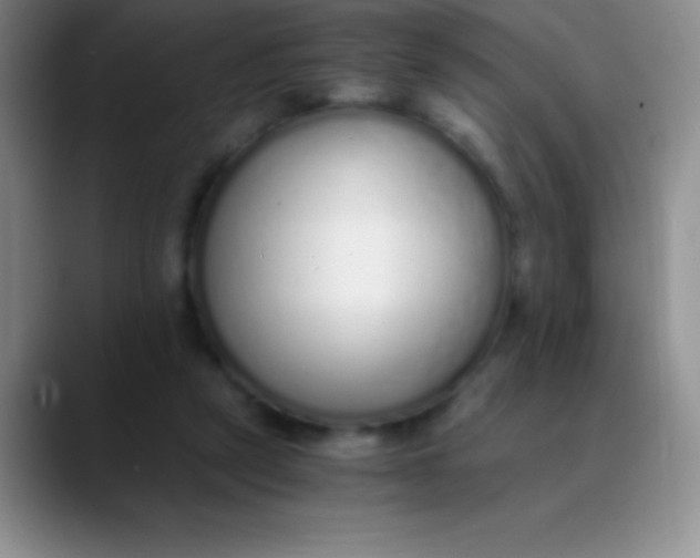 X0000089890257200707192019