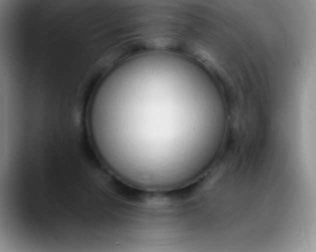 X0000089890258200707192019