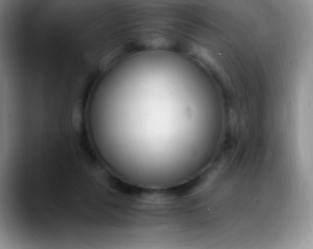 X0000089890259200707192019