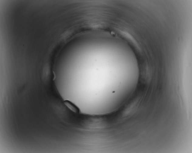 X0000089890260200707192019