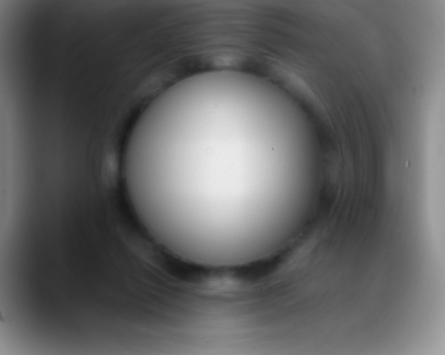 X0000089890262200707192019