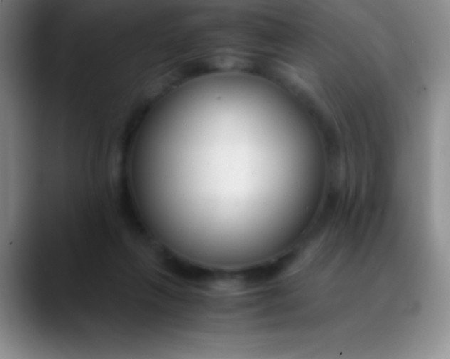 X0000089890263200707192019