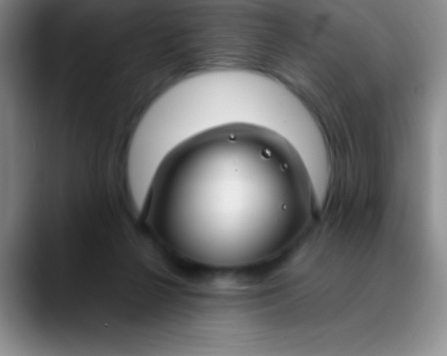 X0000089890264200707192019