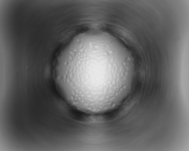 X0000089890270200707192020