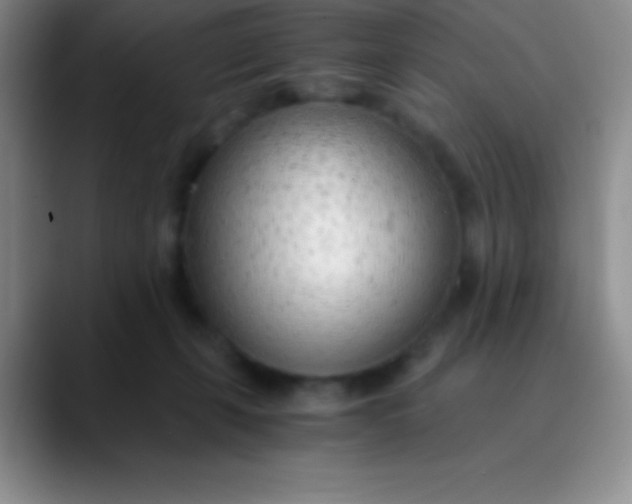 X0000089890271200707192020