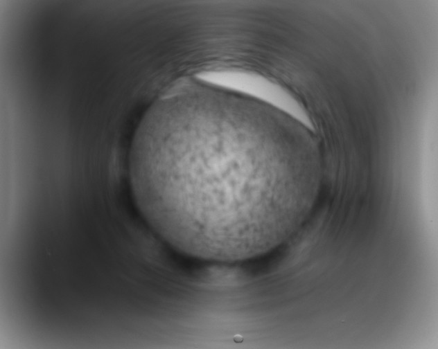 X0000089890272200707192020