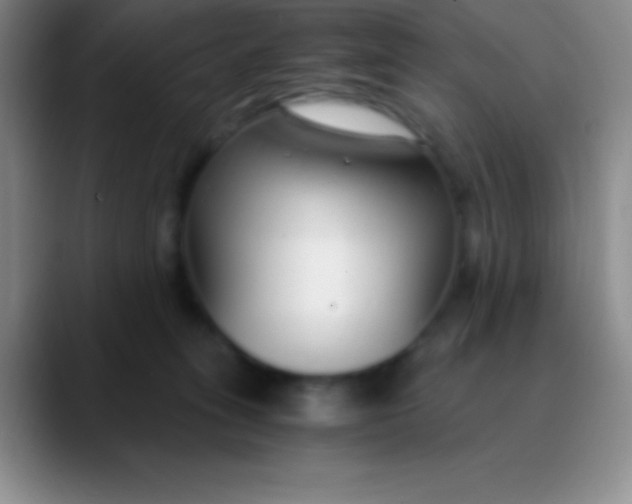 X0000089890275200707192020