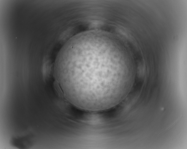 X0000089890276200707192020