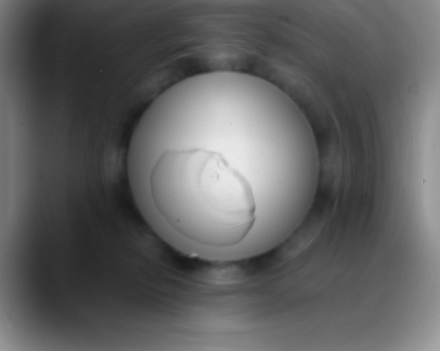 X0000089890278200707192020