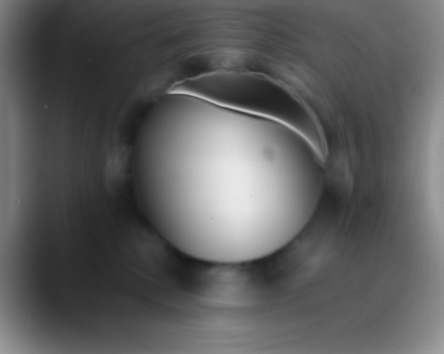 X0000089890280200707192020