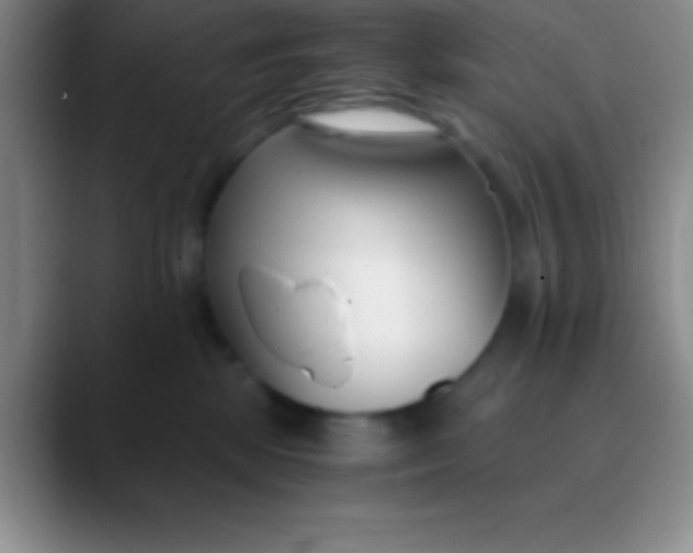 X0000089890281200707192020