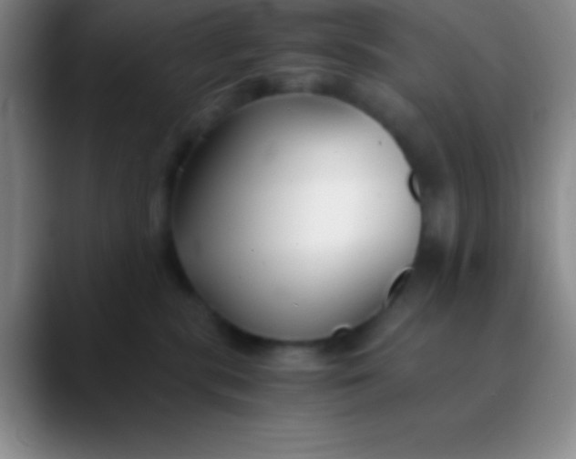 X0000089890283200707192020