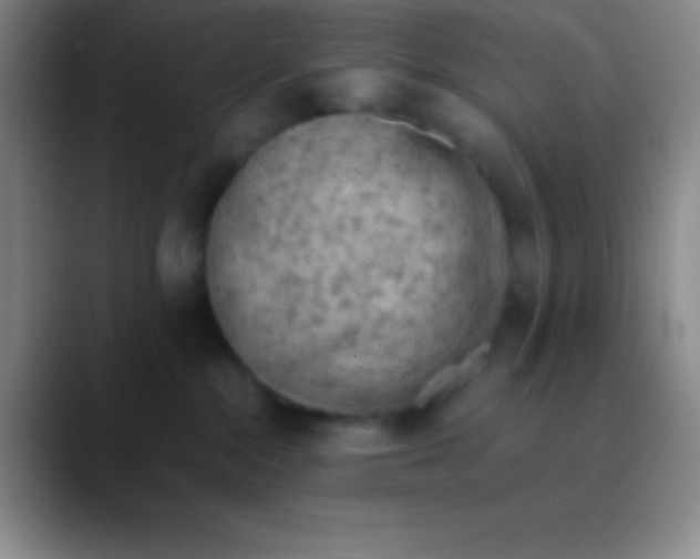 X0000089890284200707192020