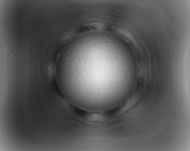 X0000089890285200707192020