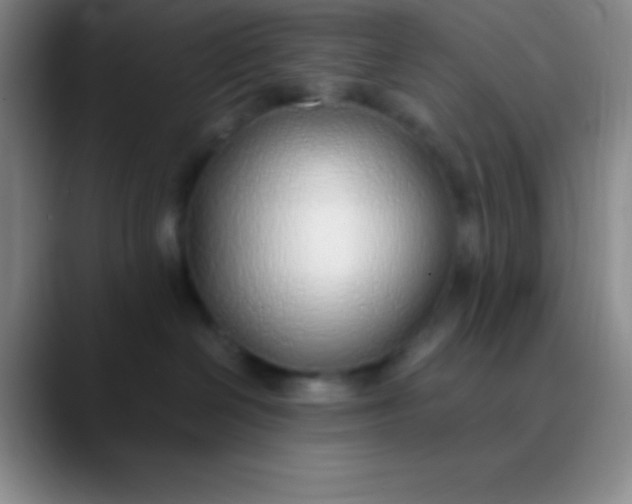 X0000089890286200707192020