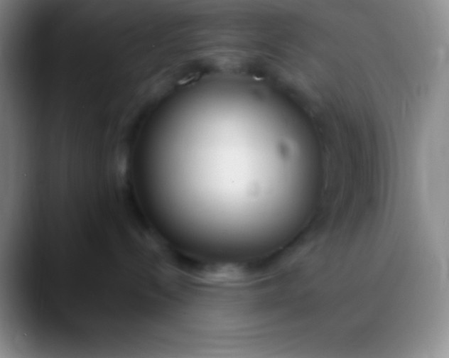 X0000089890288200707192020