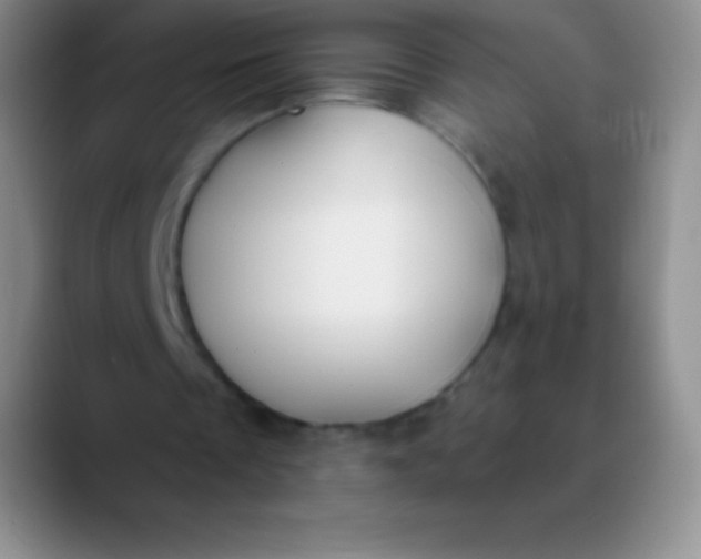 X0000089890289200707192019