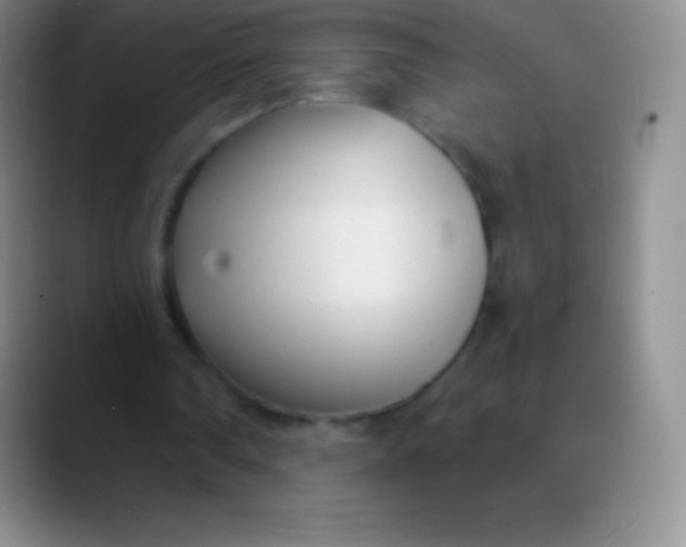 X0000089890290200707192019