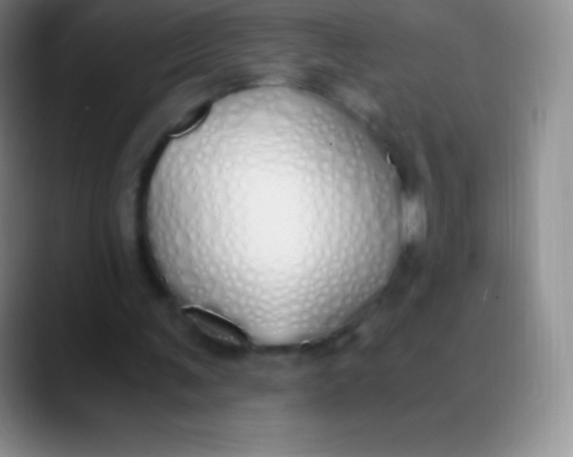 X0000089890291200707192019