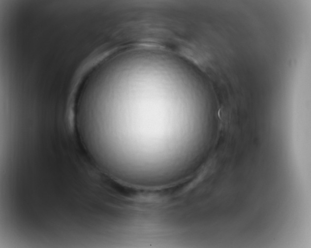 X0000089890294200707192019