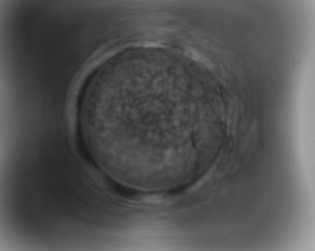 X0000089890295200707192019