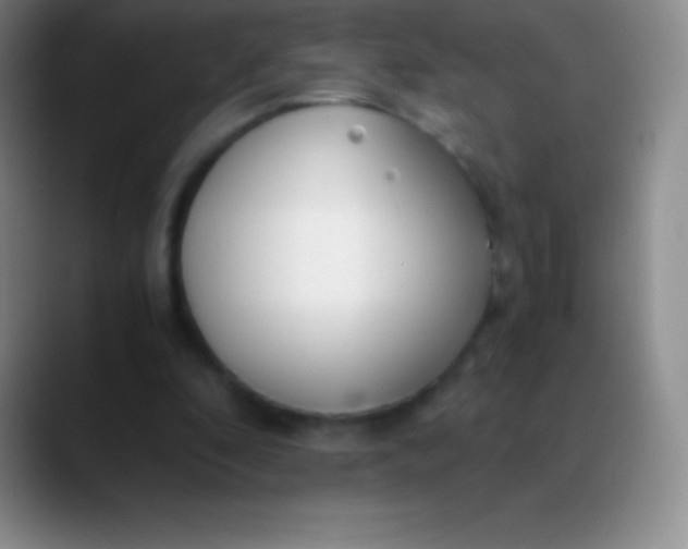 X0000089890296200707192019