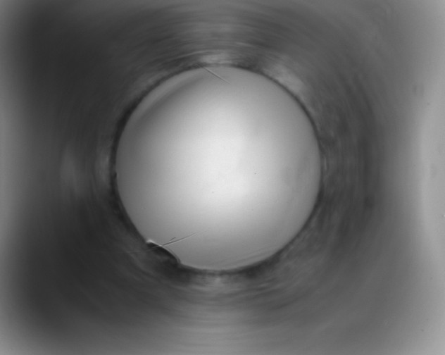 X0000089890297200707192019