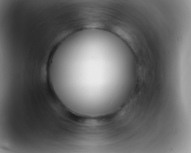 X0000089890298200707192019