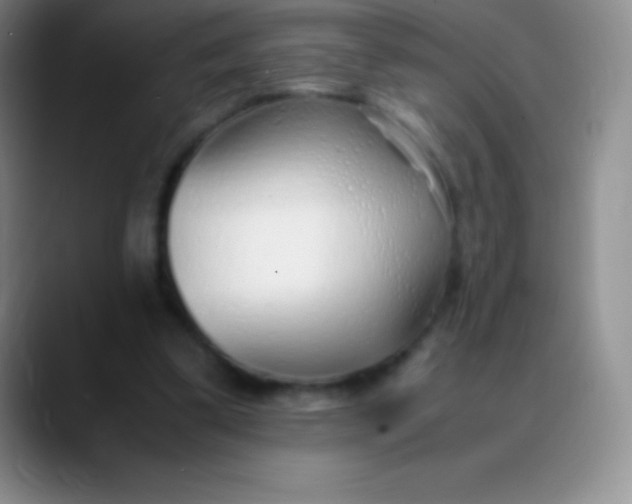 X0000089890299200707192019