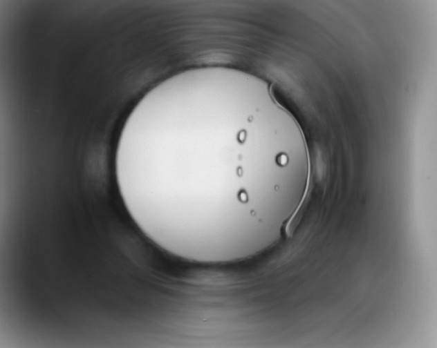 X0000089890300200707192019