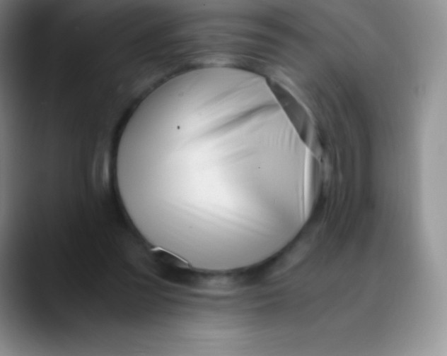 X0000089890301200707192019