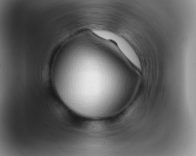 X0000089890303200707192019