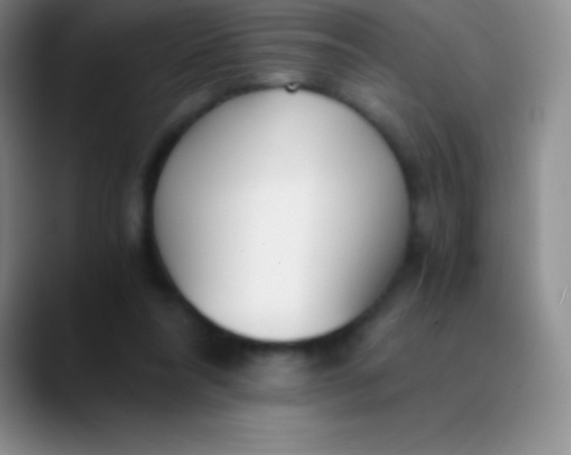 X0000089890304200707192019