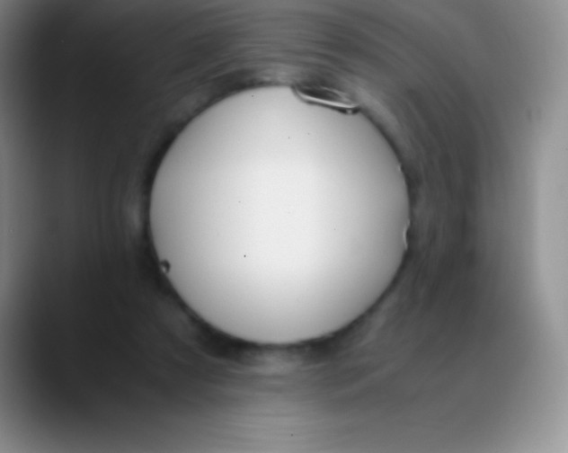 X0000089890305200707192019