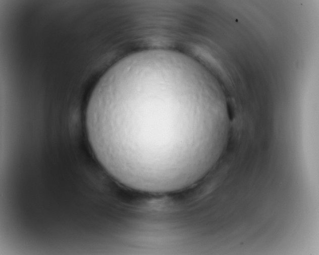 X0000089890306200707192019