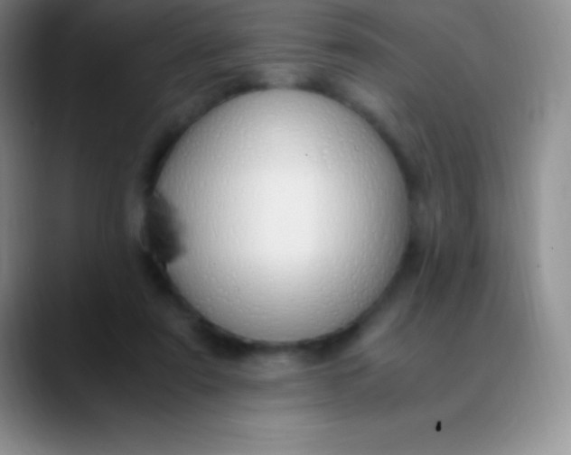 X0000089890307200707192019