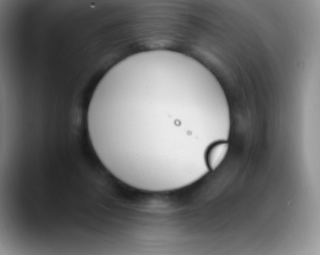 X0000089890308200707192019