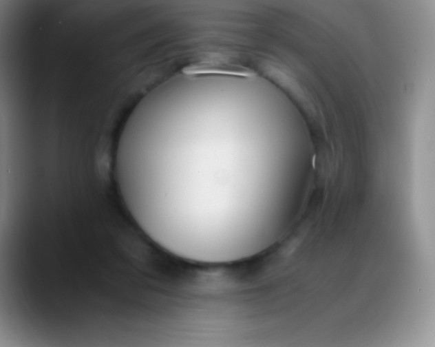 X0000089890309200707192019