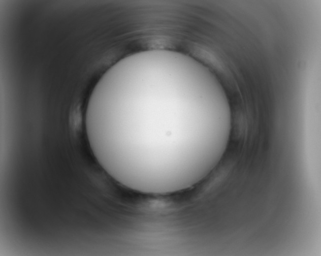 X0000089890310200707192019