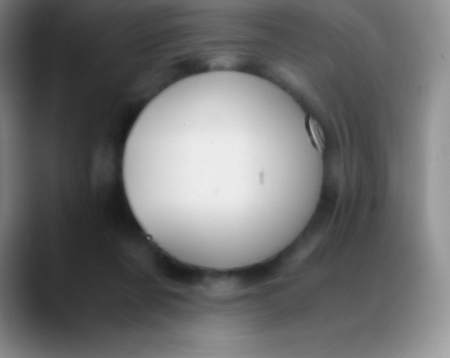 X0000089890311200707192019