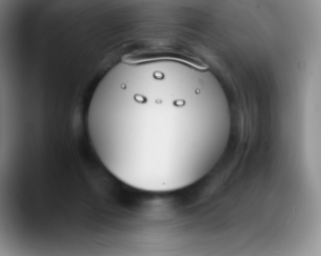 X0000089890312200707192019