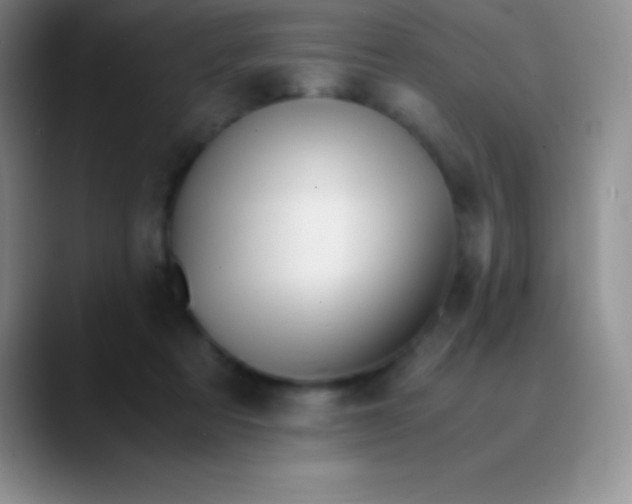 X0000089890313200707192019