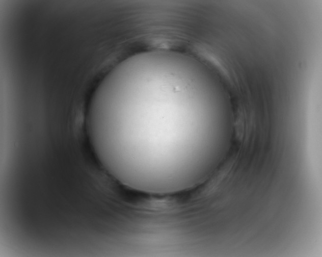 X0000089890314200707192019