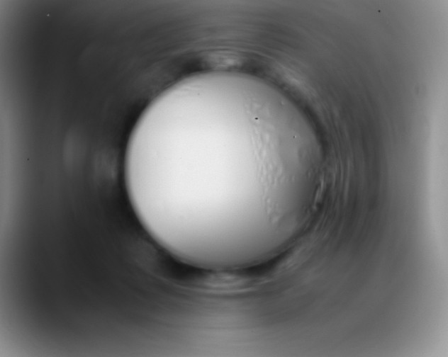 X0000089890315200707192019