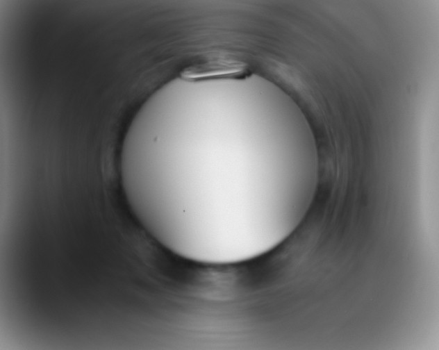 X0000089890317200707192019