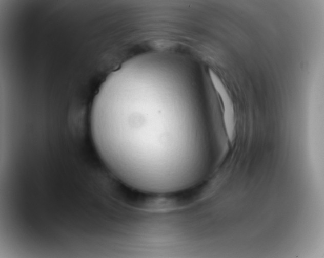 X0000089890319200707192019