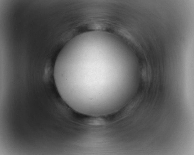 X0000089890322200707192019